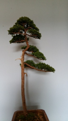 20150412_114119.jpg