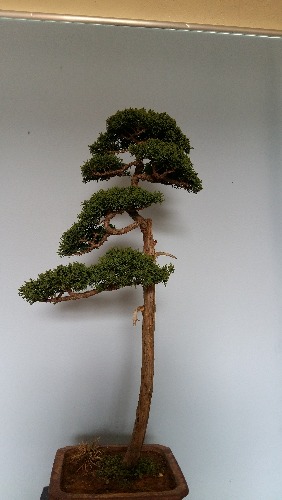 20150412_114235.jpg