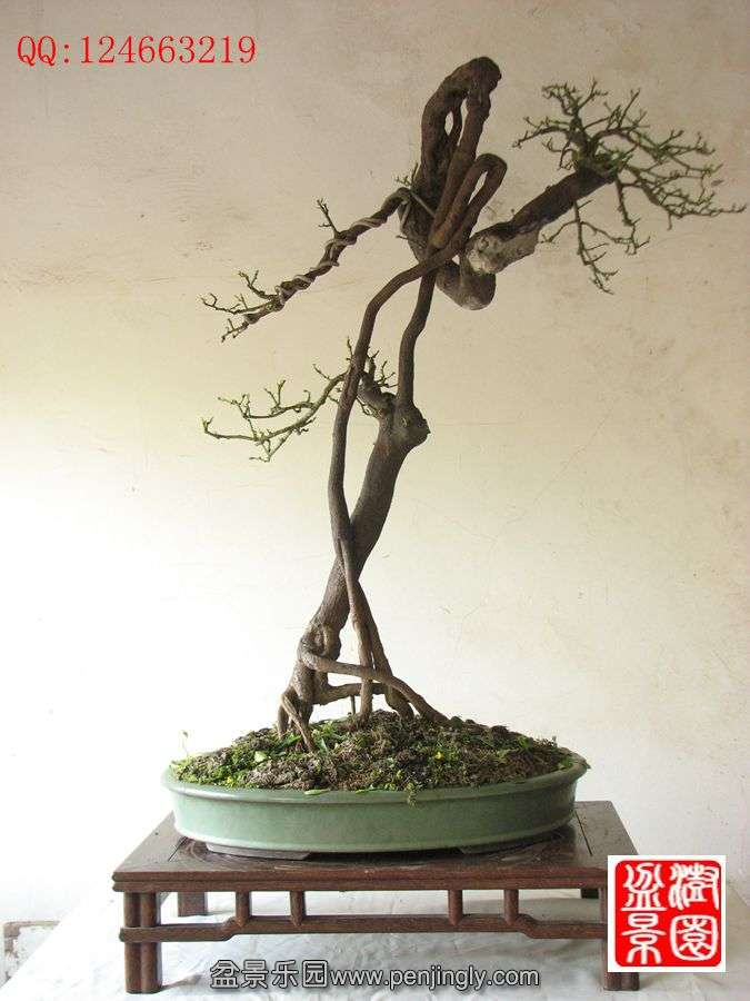 IMG_0377__.jpg