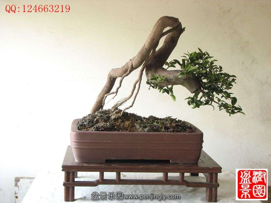 IMG_0379__.jpg