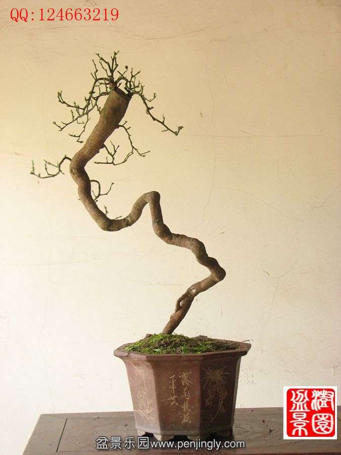 IMG_0388__.jpg