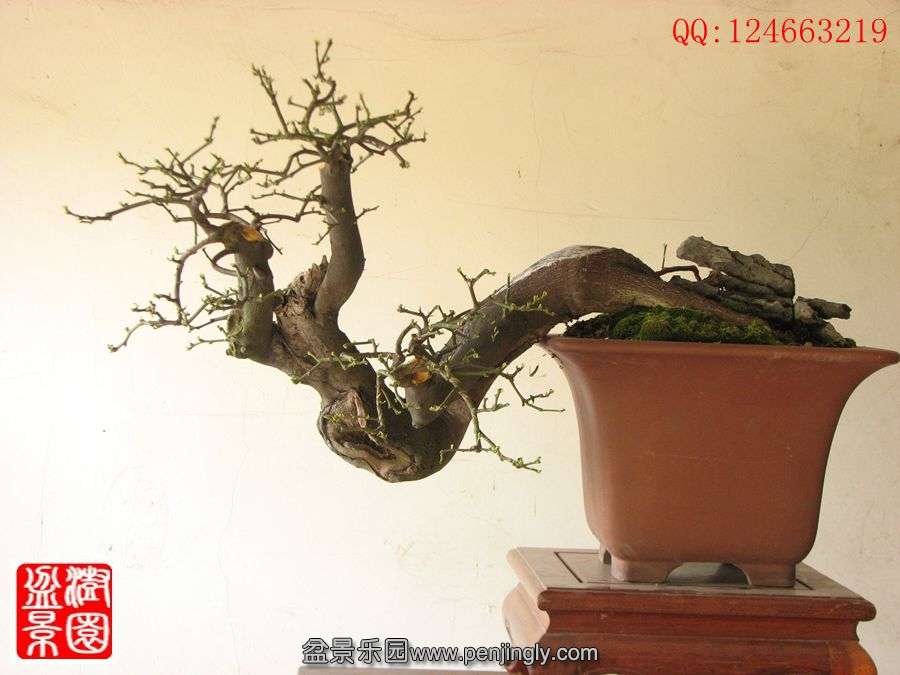 IMG_0392__.jpg
