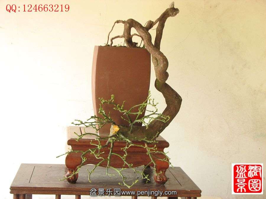 IMG_0394__.jpg