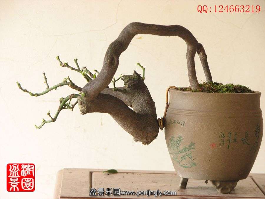 IMG_0408__.jpg