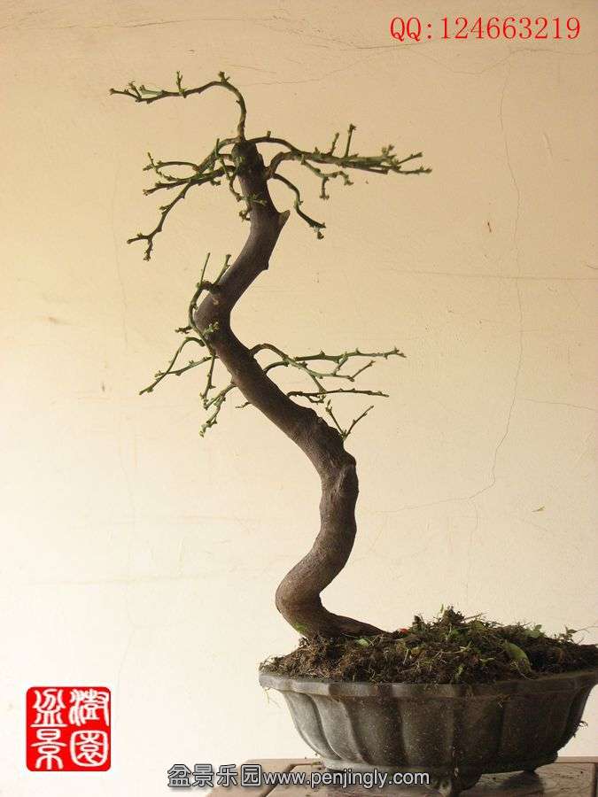 IMG_0410__.jpg