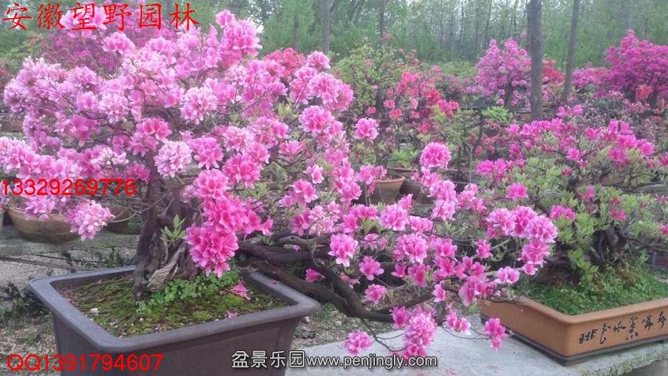 2D140EB6AEABBC0CB7C869AE48AA3910.jpg