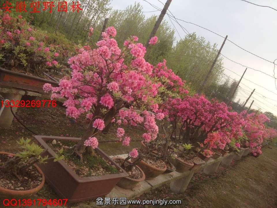 231FAE6E223AF19D2DC74EFF318999E0.jpg