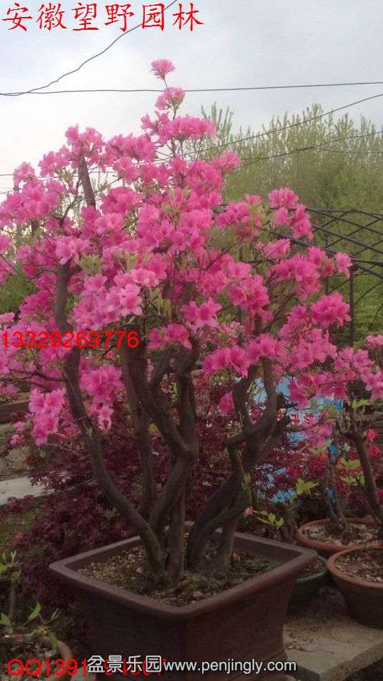D07D448F49784EA47DABADDD4940ACBD.jpg