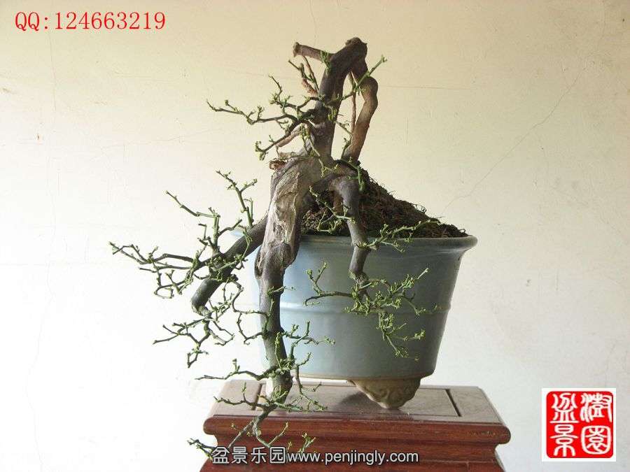 IMG_0422__.jpg
