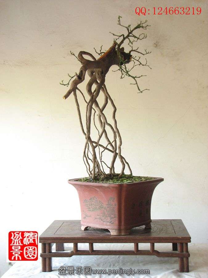 IMG_0438__.jpg
