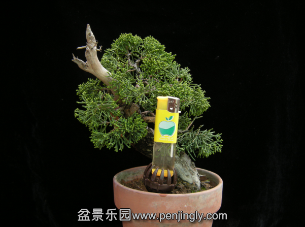 QQͼƬ20150414194731.png