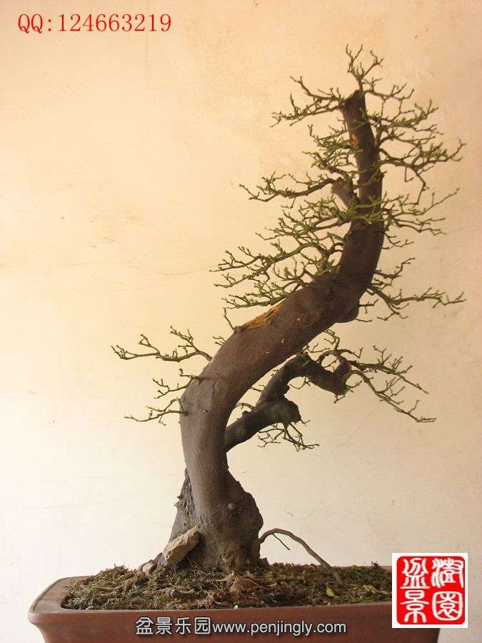 IMG_0442__.jpg
