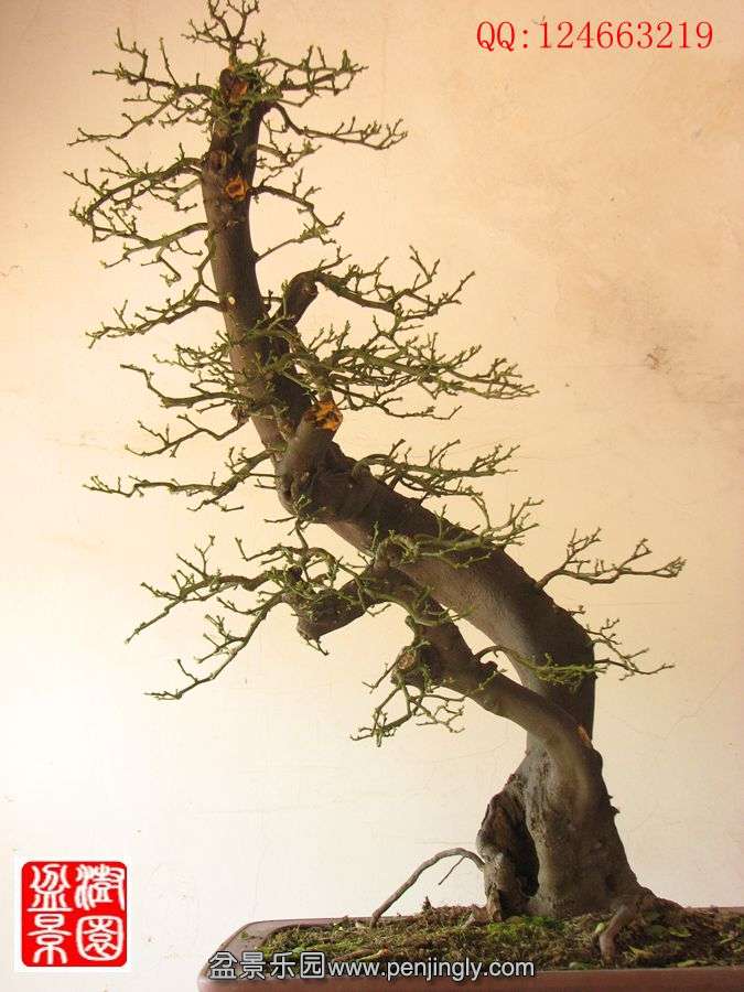 IMG_0444__.jpg
