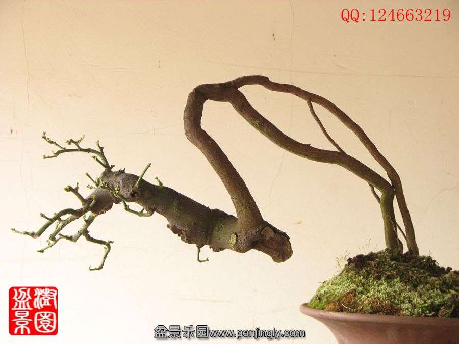 IMG_0473__.jpg
