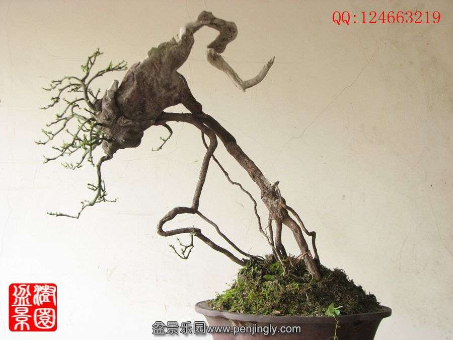 IMG_0486_.jpg