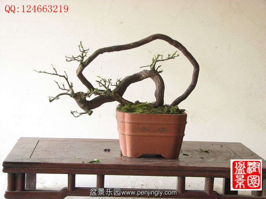 IMG_0492__.jpg