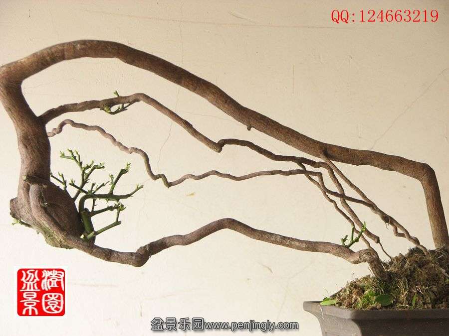 IMG_0505__.jpg
