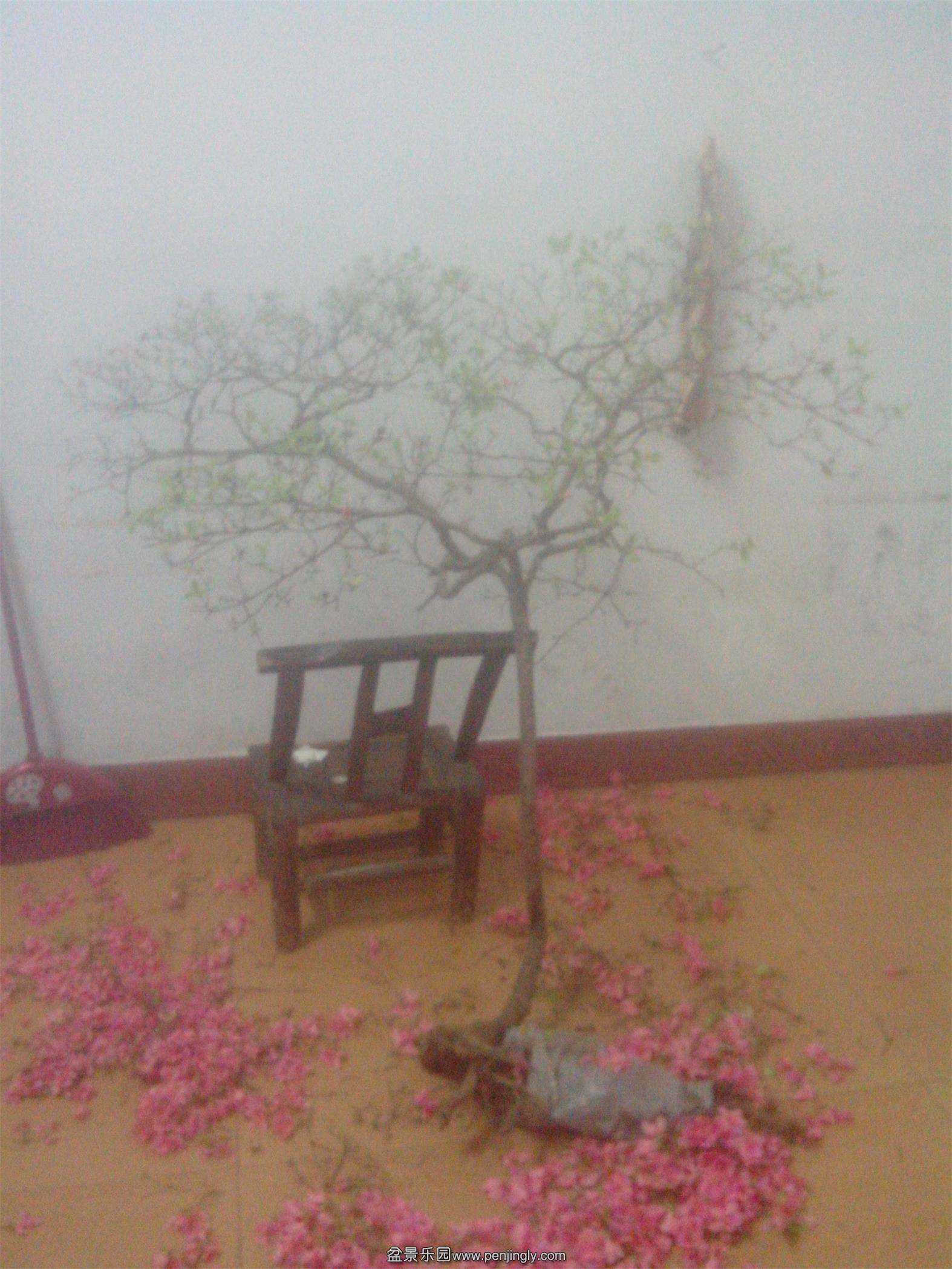 IMG20150415009.jpg