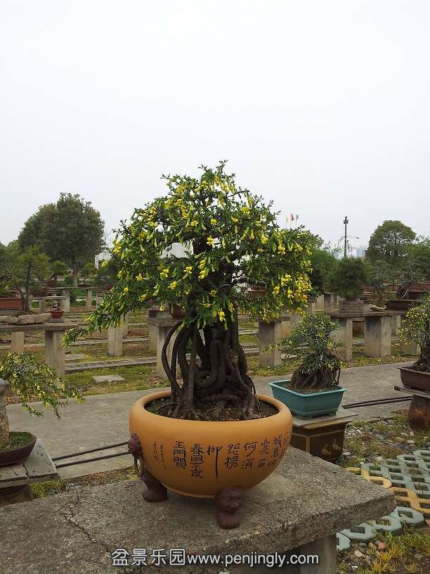 20150329_164453.jpg
