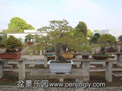 DSC08129.JPG