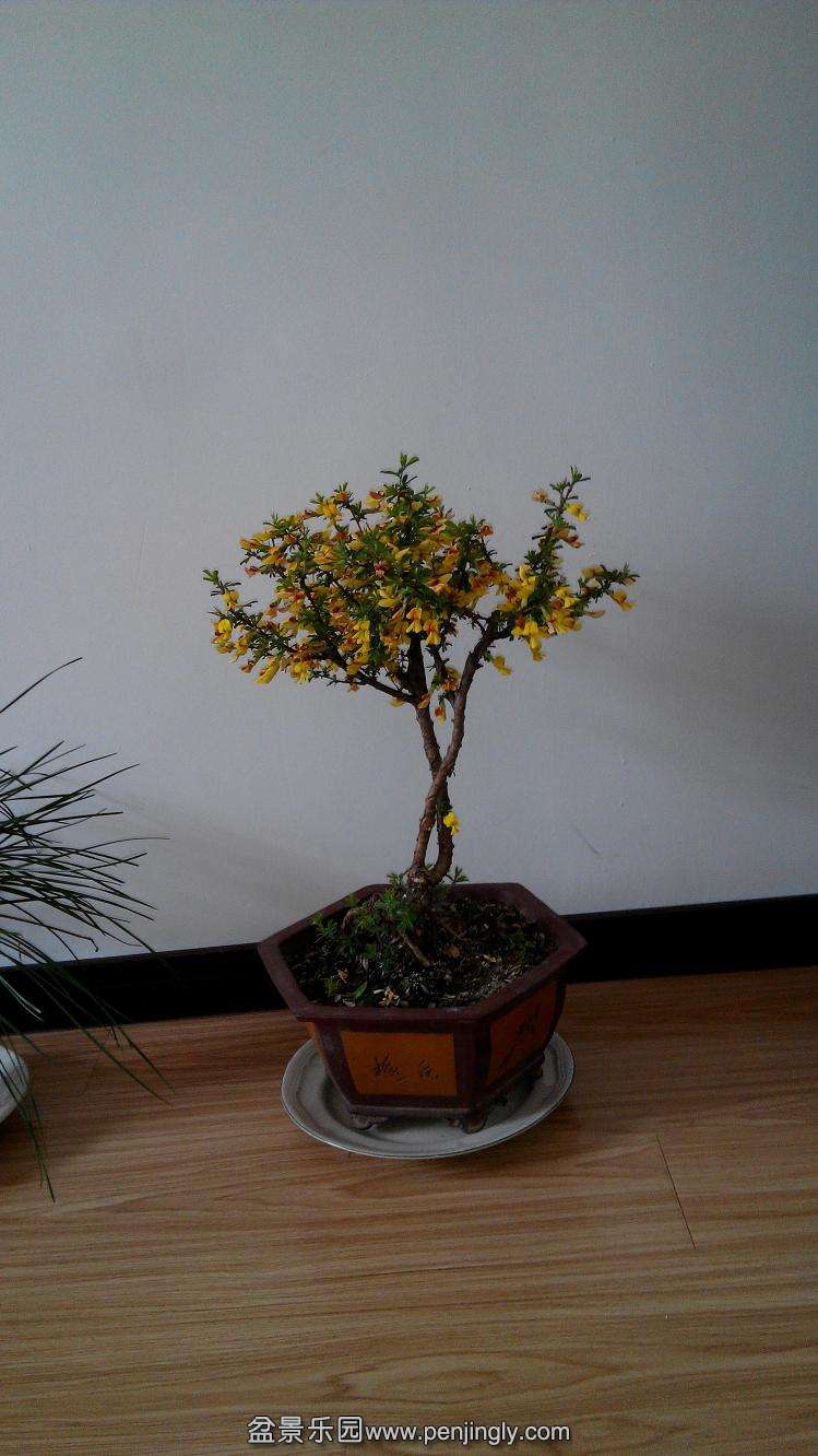 IMG_20150416_073051.jpg