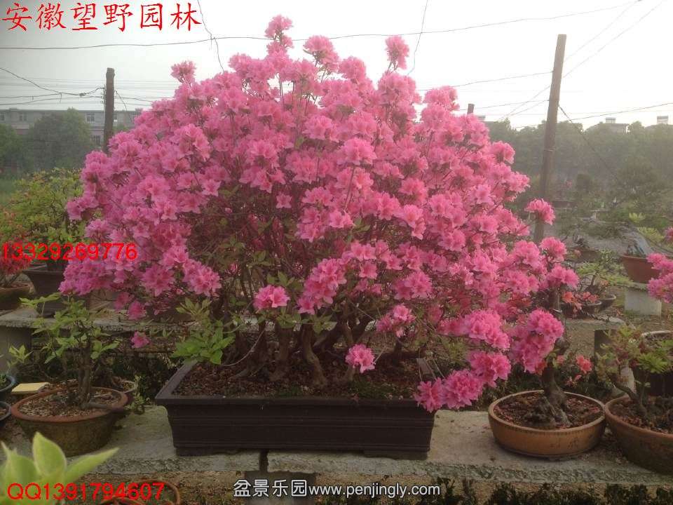 DD4D6FC8271E4AEC4763A088E42BE20E.jpg