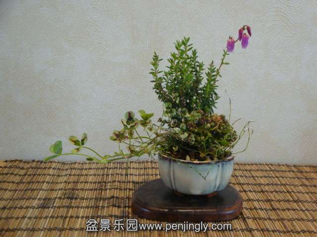 DSC00615.JPG