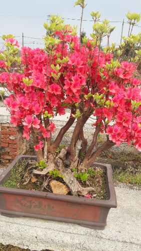 20150413_154347.jpg