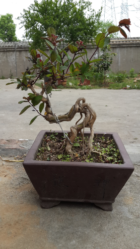 20150418_132105.jpg