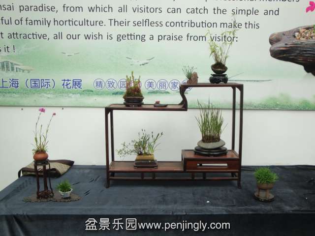DSC00686.JPG