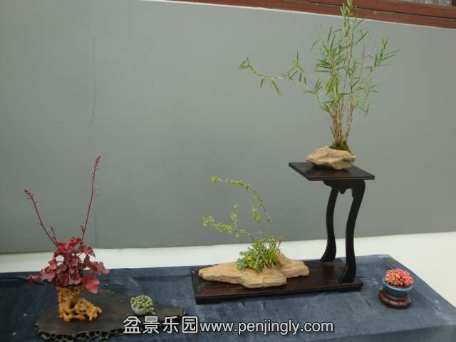 DSC00681.JPG
