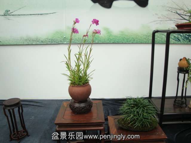 DSC00682.JPG