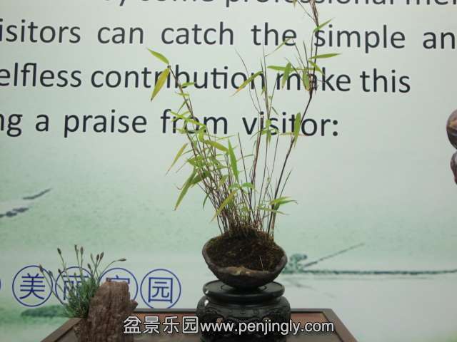 DSC00687.JPG