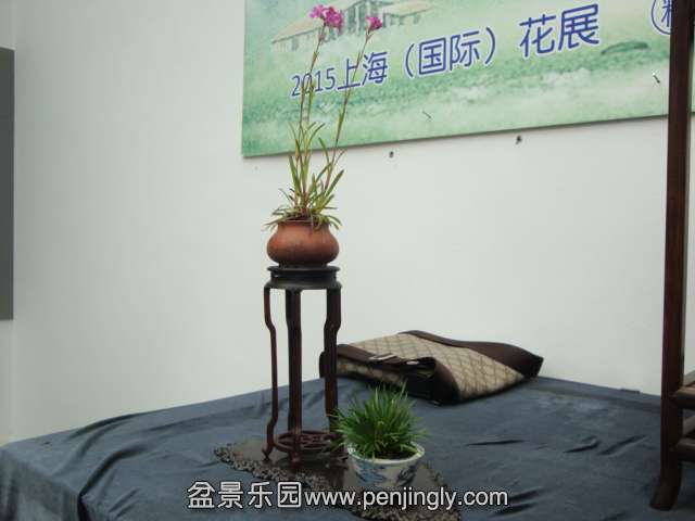 DSC00690.JPG