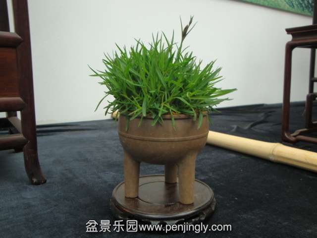 DSC00691.JPG