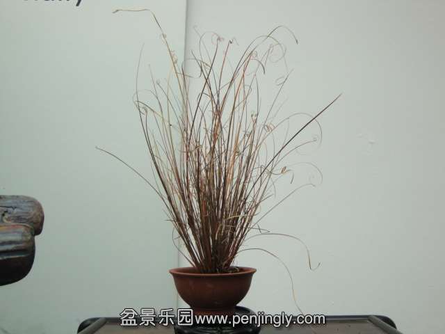 DSC00695.JPG