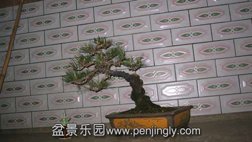 IMG_8524_.jpg