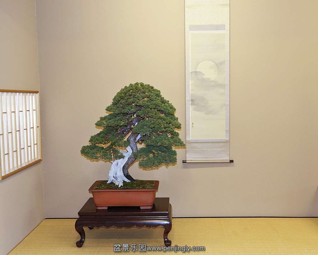 conew_6p4a9587.jpg