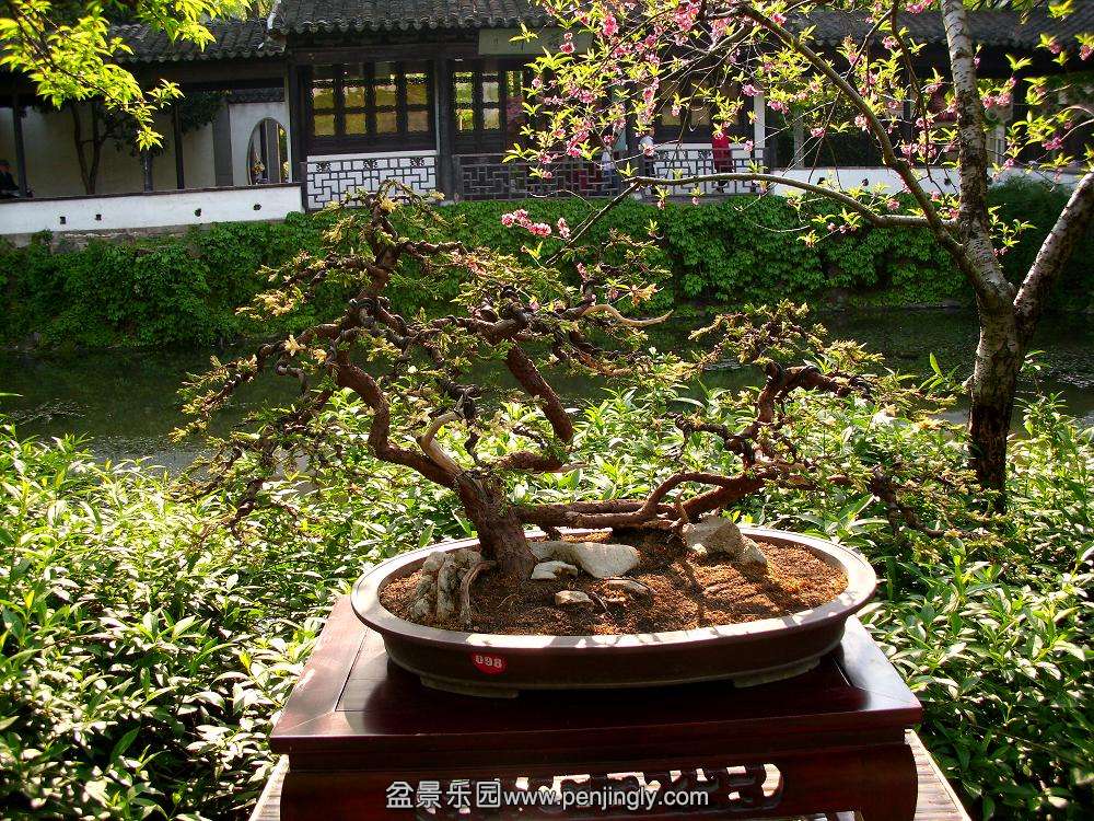 DSCI0421.JPG