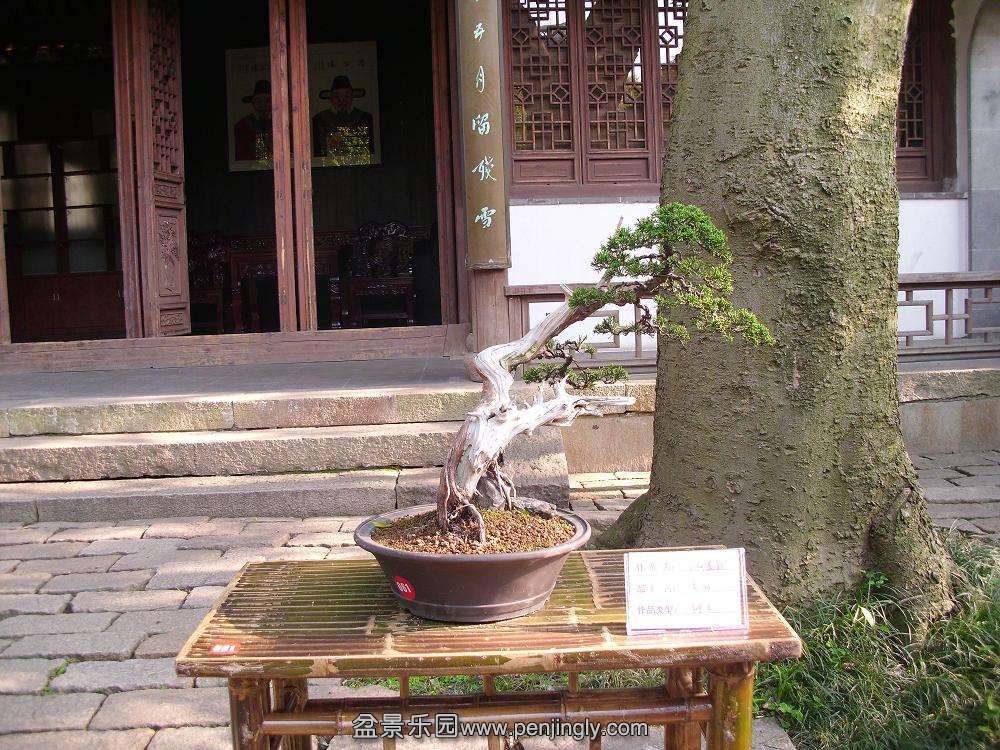 DSCI0439.JPG