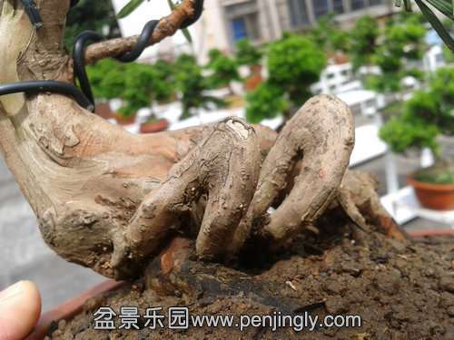 2015.38.36.jpg
