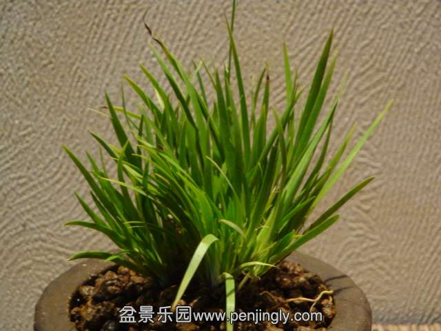 DSC00697.JPG
