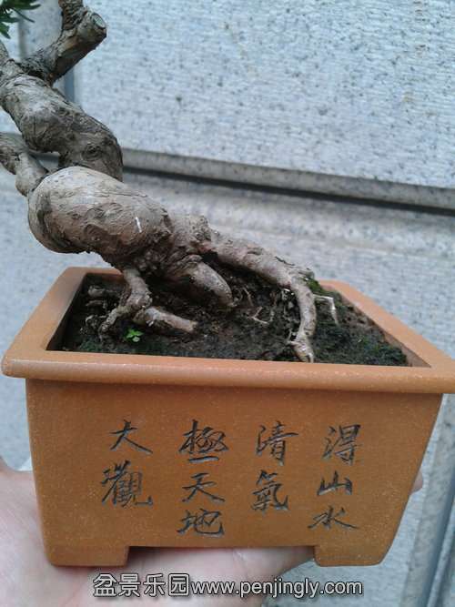 2015.21.12.jpg