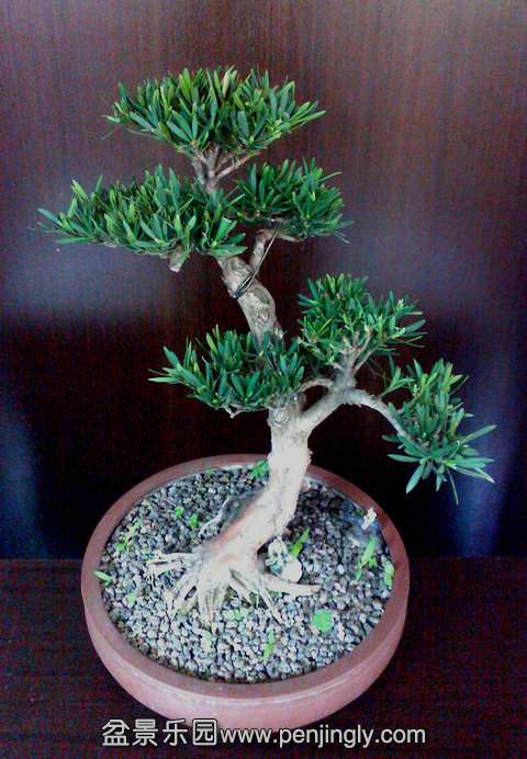 IMG0421143500.jpg