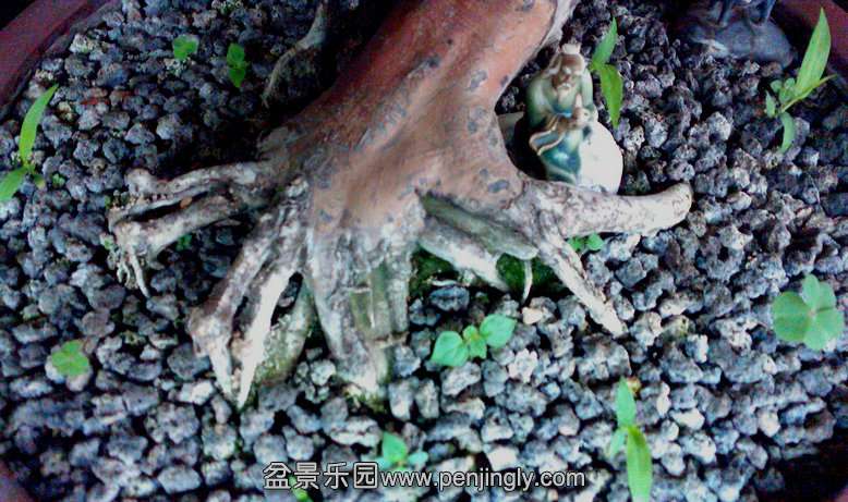 IMG0421144001.jpg