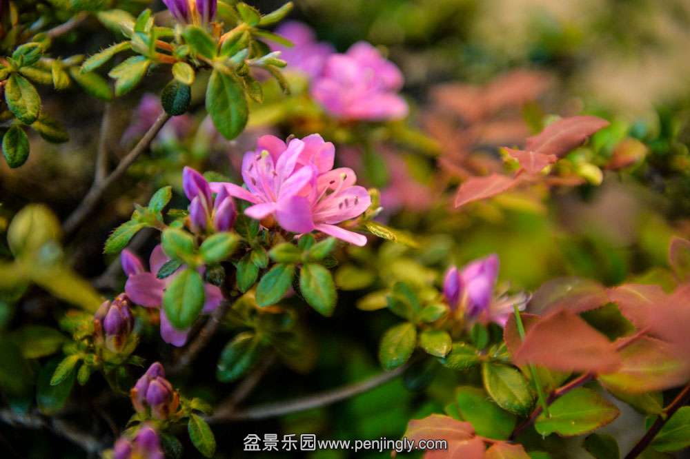 ��ʯ����ˮ�� (5).jpg