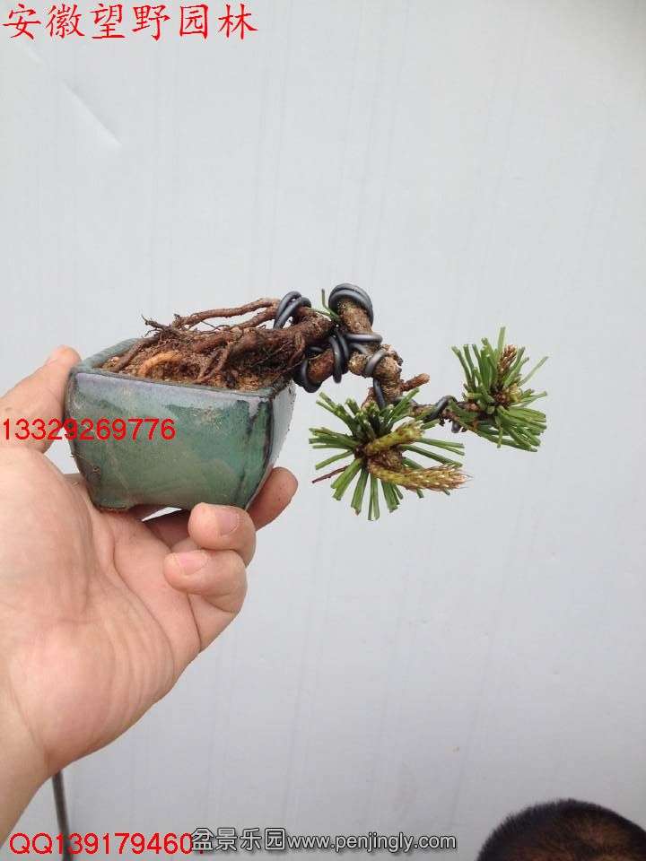 1692123B6393BE20AD8E24220CBA133A.jpg