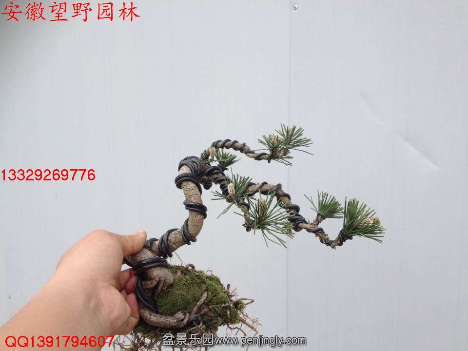 EA1EC915751DA3053B81E84B83BFD96E.jpg