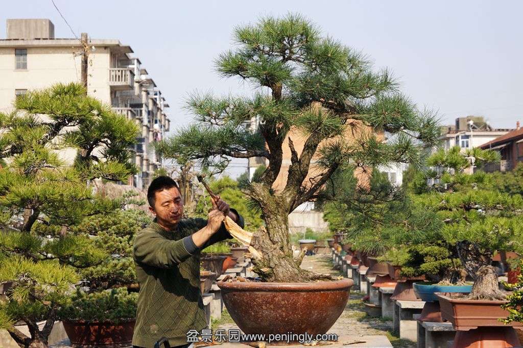 205.jpg