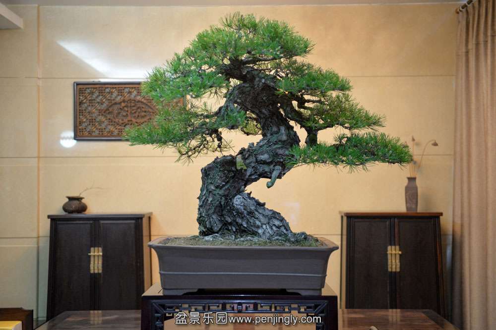 ������������ (1).jpg